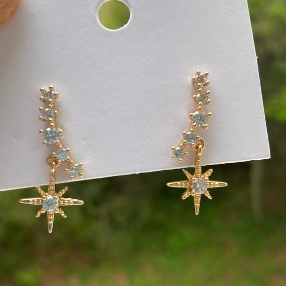 Earrings NWT - Picture 1 of 1